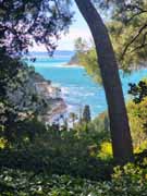 Villa Ephrussi de Rothschild Garden